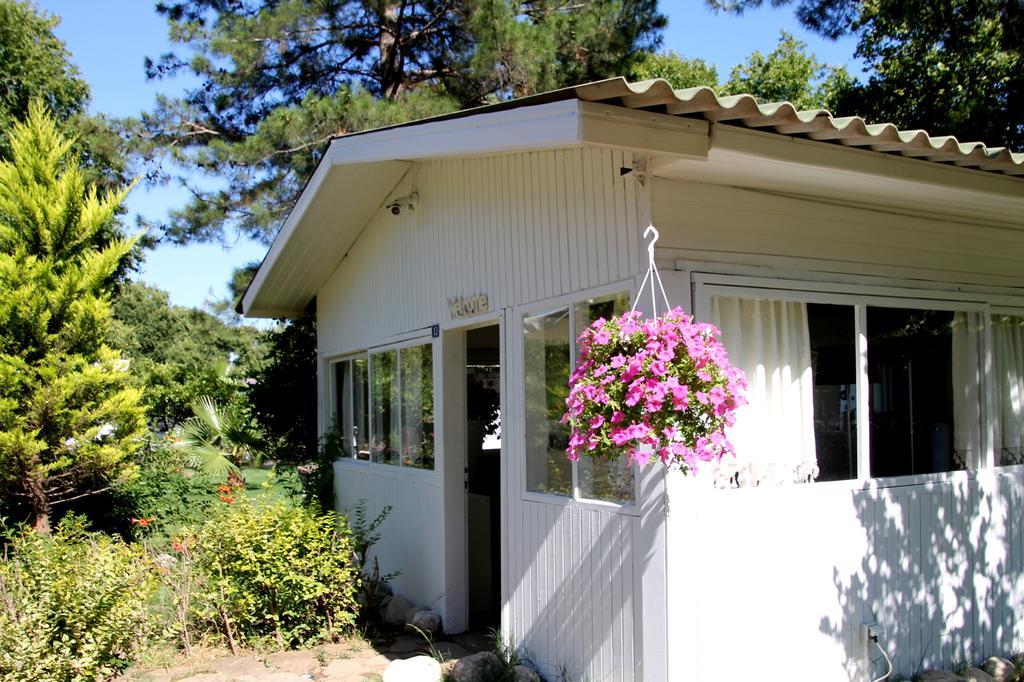 Defne Pension Cirali Exterior photo